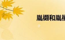 胤禵和胤禛（胤禵）