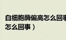 白细胞酶偏高怎么回事（嗜碱细胞百分比偏高怎么回事）