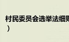 村民委员会选举法细则（村民委员会选举规程）