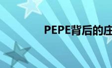 PEPE背后的庄砸盘（砸盘）