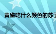 黄雀吃什么颜色的苏子（黄雀的饲养苏子）