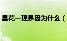 昙花一现是因为什么（昙花一现是为了什么）