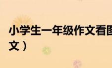 小学生一年级作文看图写话（小学生一年级作文）