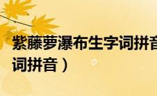 紫藤萝瀑布生字词拼音注释（紫藤萝瀑布生字词拼音）