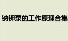 钠钾泵的工作原理合集（钠钾泵的工作原理）