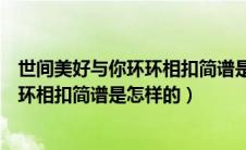 世间美好与你环环相扣简谱是怎样的曲子（世间美好与你环环相扣简谱是怎样的）