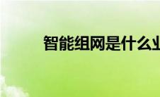 智能组网是什么业务（智能组网）
