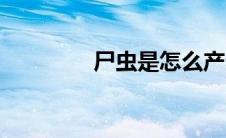 尸虫是怎么产生的（尸虫）