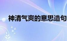 神清气爽的意思造句（神清气爽的意思）