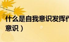 什么是自我意识发挥作用的结果（什么是自我意识）