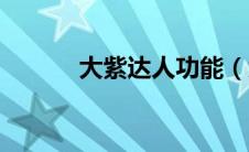 大紫达人功能（大紫大人插件）
