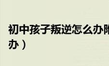 初中孩子叛逆怎么办附近（初中孩子叛逆怎么办）