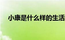 小康是什么样的生活水平（小康是什么）