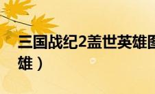 三国战纪2盖世英雄图腾（三国战纪2盖世英雄）