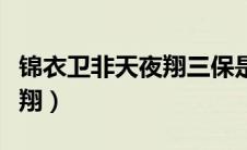 锦衣卫非天夜翔三保是好人吗（锦衣卫非天夜翔）