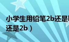 小学生用铅笔2b还是hb好（小学生铅笔用hb还是2b）