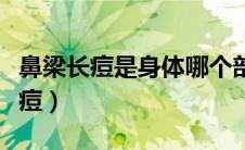 鼻梁长痘是身体哪个部位出现问题了（鼻梁长痘）