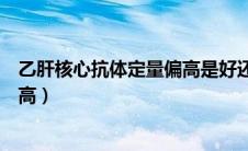 乙肝核心抗体定量偏高是好还是不好（乙肝核心抗体定量偏高）