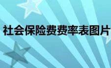 社会保险费费率表图片（社会保险费费率表）