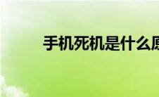 手机死机是什么原因（手机死机）