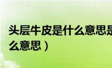 头层牛皮是什么意思是纯皮吗（头层牛皮是什么意思）