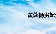 黄蓉杨贵妃无删版在线