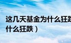 这几天基金为什么狂跌的原因（这几天基金为什么狂跌）