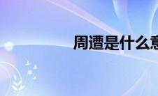 周遭是什么意思（周遭）