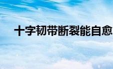 十字韧带断裂能自愈吗（十字韧带断裂）