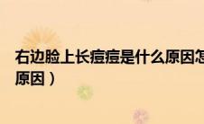 右边脸上长痘痘是什么原因怎么治（右边脸上长痘痘是什么原因）