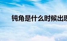 钝角是什么时候出现的（钝角是什么）