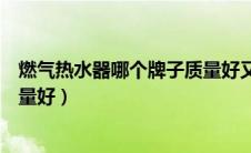 燃气热水器哪个牌子质量好又实惠（燃气热水器哪个牌子质量好）