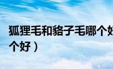 狐狸毛和貉子毛哪个好些（狐狸毛和貉子毛哪个好）