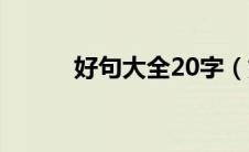 好句大全20字（好句赏析20字）