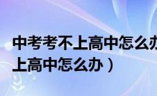 中考考不上高中怎么办有哪些出路（中考考不上高中怎么办）