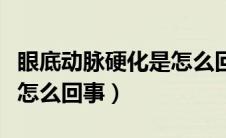 眼底动脉硬化是怎么回事儿（眼底动脉硬化是怎么回事）