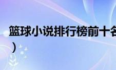 篮球小说排行榜前十名（篮球小说排行榜完本）