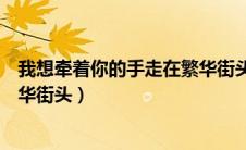 我想牵着你的手走在繁华街头歌词（我想牵着你的手走在繁华街头）