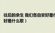 往后的余生 我们各自安好是什么歌（往后的余生我们各自安好是什么歌）