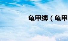 龟甲缚（龟甲缚什么感觉）