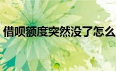 借呗额度突然没了怎么才能恢复（借呗额度）