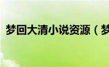 梦回大清小说资源（梦回大清小说txt下载）