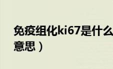 免疫组化ki67是什么意思（免疫组化是什么意思）