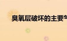 臭氧层破坏的主要气体（臭氧层破坏）