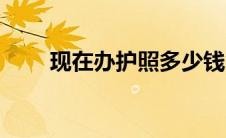 现在办护照多少钱（办护照多少钱）