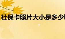 社保卡照片大小是多少kb（社保卡照片大小）