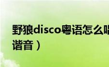野狼disco粤语怎么唱（野狼disco歌词粤语谐音）