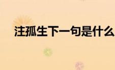 注孤生下一句是什么（注孤生什么意思）