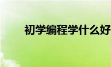 初学编程学什么好（如何学习编程）
