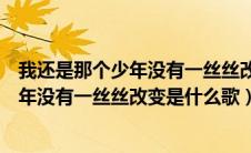 我还是那个少年没有一丝丝改变是什么歌曲（我还是那个少年没有一丝丝改变是什么歌）